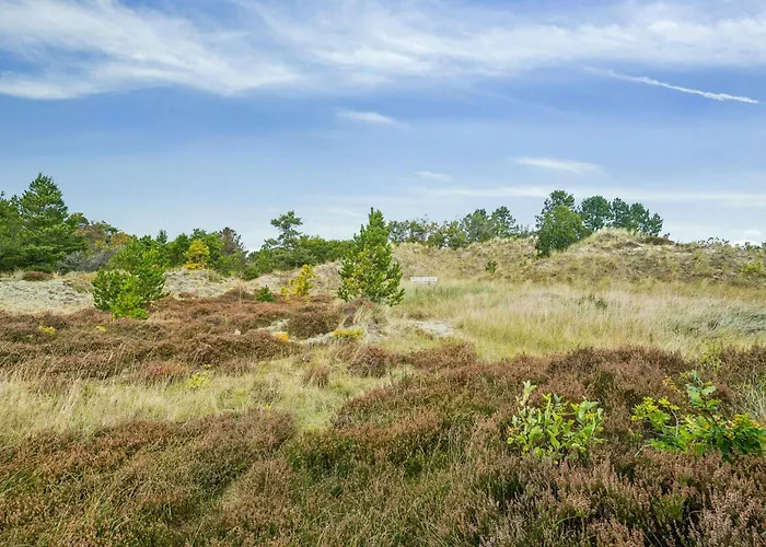 Semesterbostad Timber House On Dune Plot Near Hulsig *